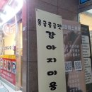 몽글몽글 펫 이미지