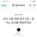 감자산광최아 이미지