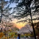 예스타워 | 대구 이월드 가을 데이트 여행 자유이용권 + 예스교복 패키지와 리미니 83타워 코스