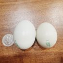 순천청계농장 이미지