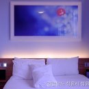 문거모텔