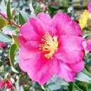 (주)KD렌트카 이미지