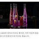 문프룻 이미지