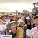 [알로하 제주 페스티벌] 제 2회 알제페 후기 / 우쿨렐레 훌라 축제