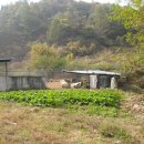 리치모텔 이미지