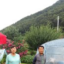 우경이네 이미지