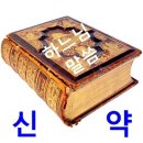 비비안나 이미지