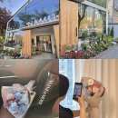 평택 고덕 나무 플라워 앤 플랜트 저렴하지만 예쁜 2만원대 어버이날 꽃다발 추천