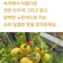 나파 샤도네이 토마토 이미지