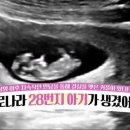 주해남포차