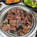절대생고기 이미지