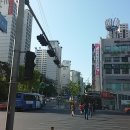 서광동물병원 이미지