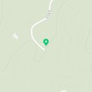 비선동 산삼 이미지