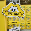 뚝방마켓 | 뚝방마켓 팝업스토어 실시간(4.23.화)