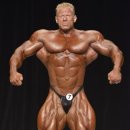 울프피트니스 이미지