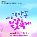 부안 개암동 벚꽃축제 이미지