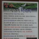 청수다슬기 이미지