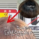 신동아클리닉 | 성남미용실 ‘더브랜드헤어 우리은행사거리점’ 뿌염 후기 (신흥역미용실, 경원 수석 디자이너쌤)