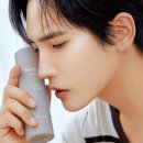 얼라우 이미지
