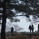 고창 선운사, 황윤석도서관 탐방, 고창읍성과 조양관 카페 여행(26.02.06) 이미지