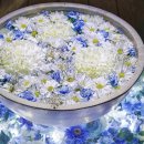 오브제-꽃과빛 이미지