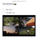 코닥 픽스프로 fz55 빈티지디카 리뷰