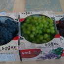 철랑농장 이미지