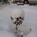 마산면사무소 이미지