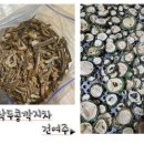 여주-0750 네이버블로그