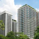 알비티레인보우투어 이미지