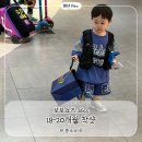 보보쇼즈 26ss 후기｜18-20개월｜보보쇼즈 26ss 세일