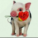 지에스엘 이미지