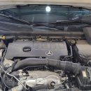 바이드핸더 이미지