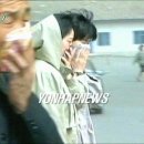 신보지질