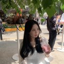 5월 포토덤프🌷🪽