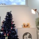 곤실길 스테이 이미지