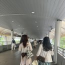 디오투어 이미지