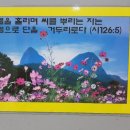대국보일러 이미지