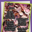 마음에 스며드는 수채화 이미지