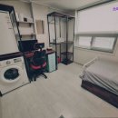 스테이 위드 신촌