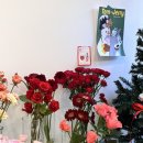 커들리플라워 - 부산진구 서전로 19 | 커들리플라워
