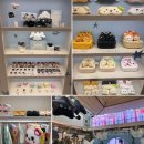 더위시 | 엔시티 위시 더현대 팝업, 전 MD 사진 및 후기 (품절, 온라인 전용 굿즈 포함)