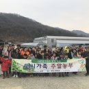 경남인삼 이미지