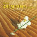 다시오리 이미지