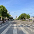 나라세운호랑이 이미지