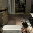 풀프레쉬 | 나트랑 2일차｜인터컨티넨탈 나트랑 조식부터 퓨전리조트 체크인, 프레쉬가든 런치 후기