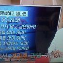 8월 25일(수) 2KBS 여유만만 이미지