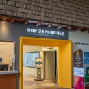 발왕산 관광케이블카 코스 이미지