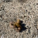 닥터김 동물의료센터 이미지