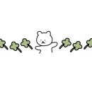 코코애견 이미지